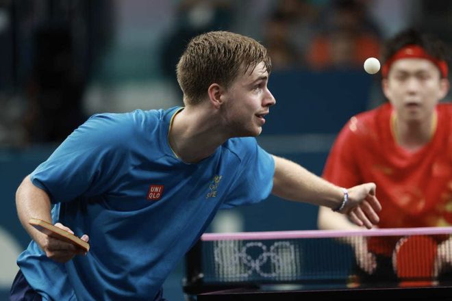 种不屈不挠 种不屈不挠