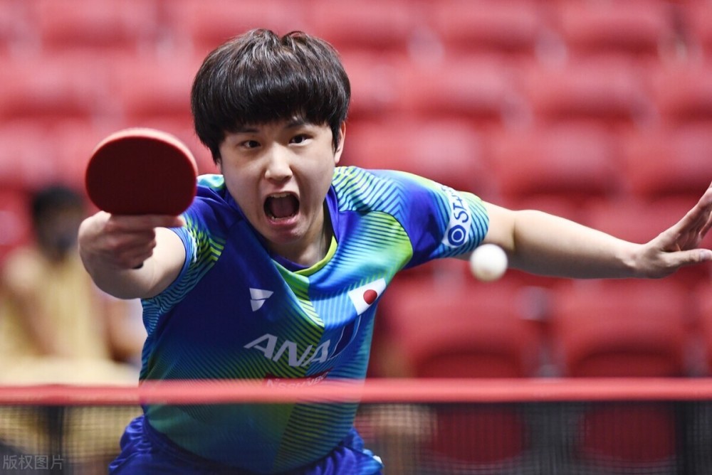 交媒体的高 交媒体的高