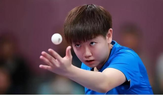 影响与启示 影响与启示